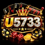U5733 Game