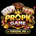 PRO PK Game