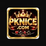 PKNICE Game