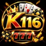 K116 Game
